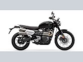 New 2026 Triumph Scrambler