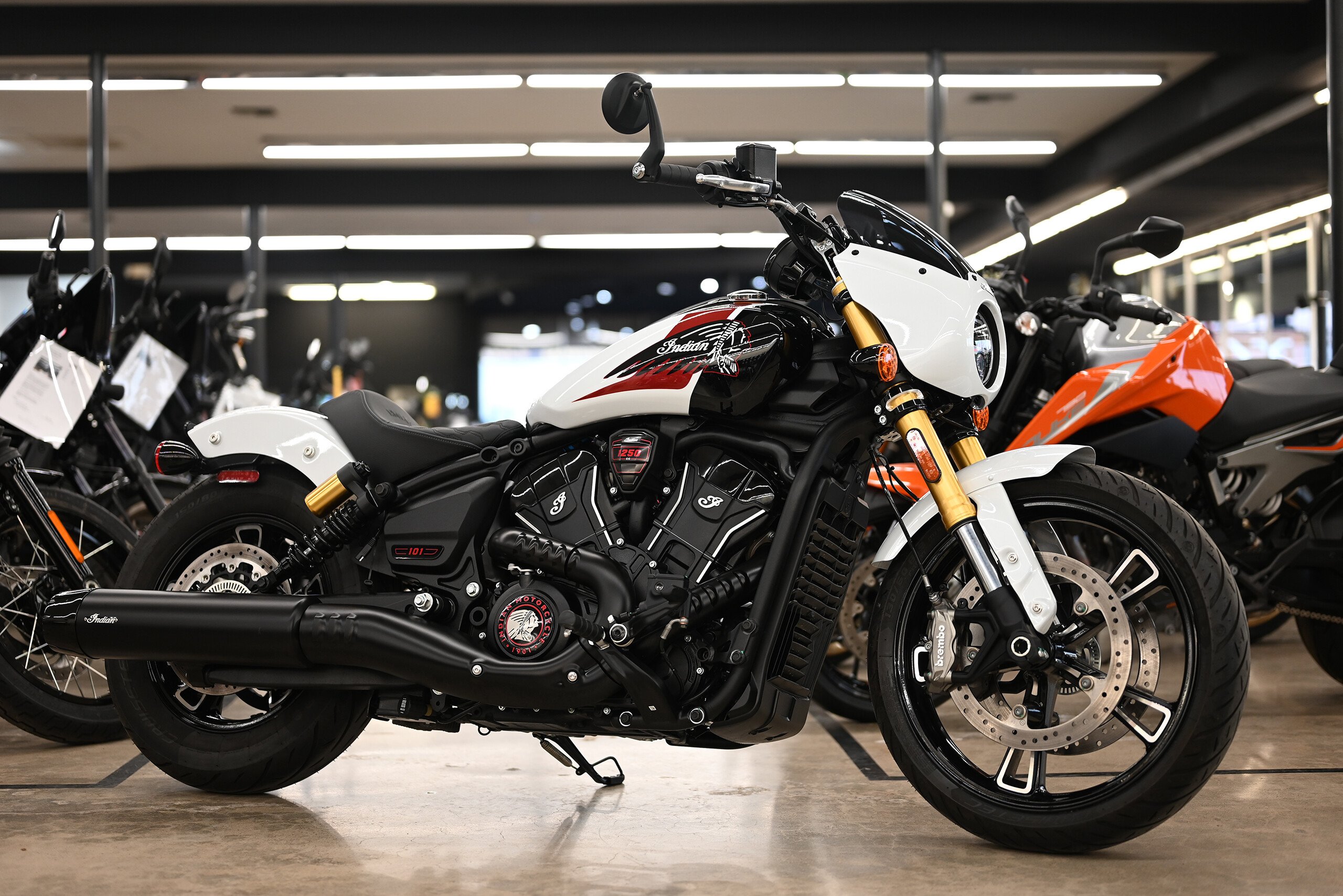2025 Indian Scout 101 Scout