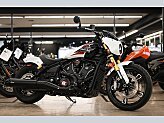 2025 Indian Scout 101 Scout