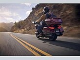 New 2025 Honda Gold Wing Tour Automatic DCT
