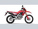 New 2025 Honda CRF300L