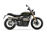 New 2026 Triumph Scrambler 900